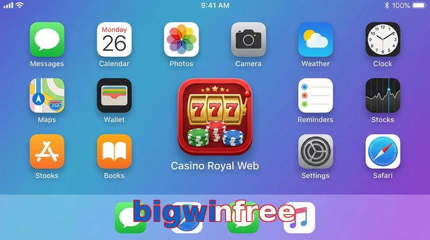 Payment and PKR controls in Bigwinfree